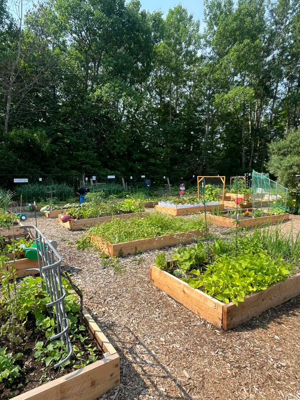 La fête du jardin LAFamille
